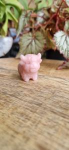 Schotse hooglanders roze opaal