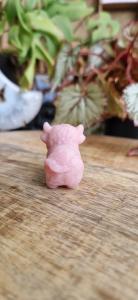 Schotse hooglanders roze opaal
