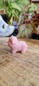 Schotse hooglanders roze opaal