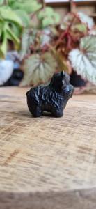 Schotse hooglander obsidiaan