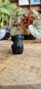 Schotse hooglander obsidiaan