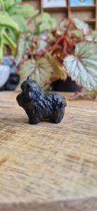 Schotse hooglander obsidiaan