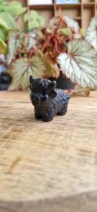 Schotse hooglander obsidiaan