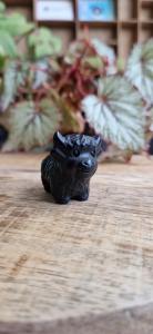 Schotse hooglander obsidiaan