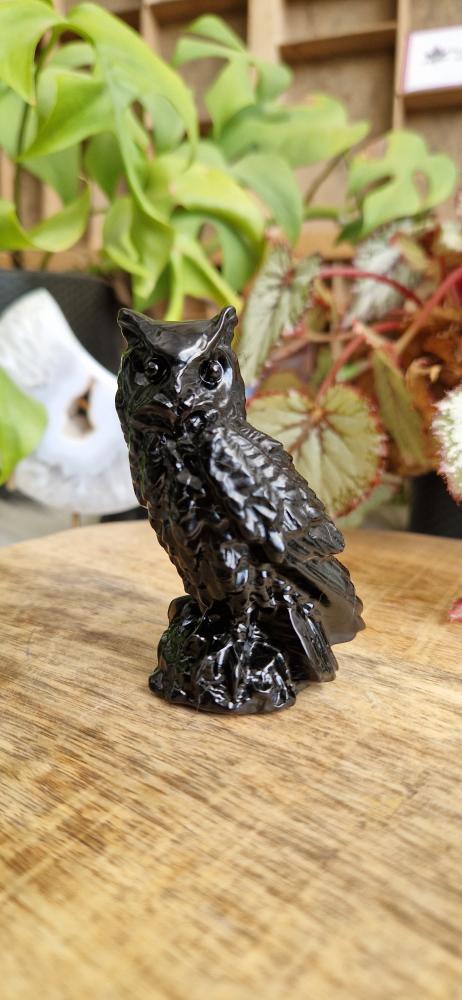 Obsidiaan uil