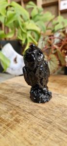 Obsidiaan uil