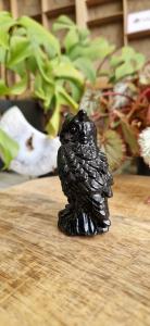 Obsidiaan uil