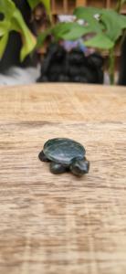 Schildpad Mosagaat/Jade