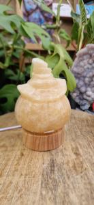 Oranje calciet pompoen