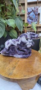 Chevron amethist draak