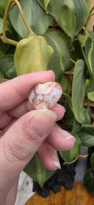 Bloemagaat hartje klein