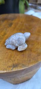 Bloemagaat schildpad 1