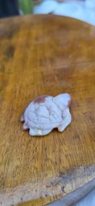 Bloemagaat schildpad 2
