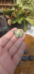 Labradoriet schildpad